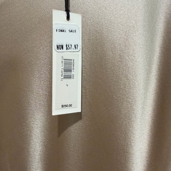 NWT Banana Republic Claudette Silk Midi Dress - Size L - Champagne - Picture 10 of 10
